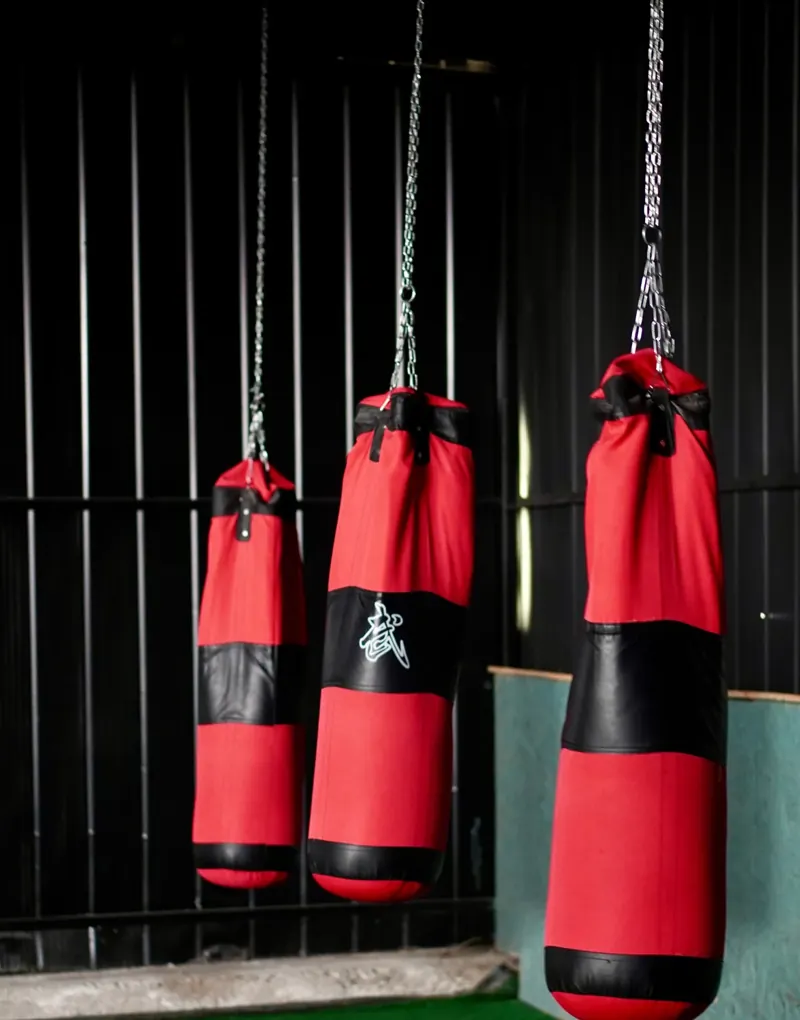 Sacos de boxeo de Status Fitness